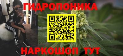 стафф Краснокаменск