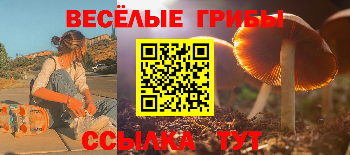 Галлюциногенные грибы Psilocybe  Псилоцибиновые грибы Psilocybine cubensis  Елабуга  Вход с VPN 